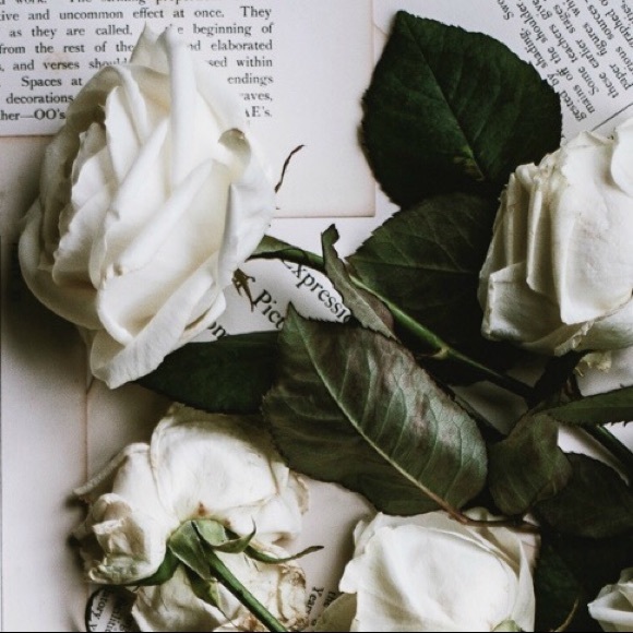 Meet your Posher, Isabella - Picture 1 of 1